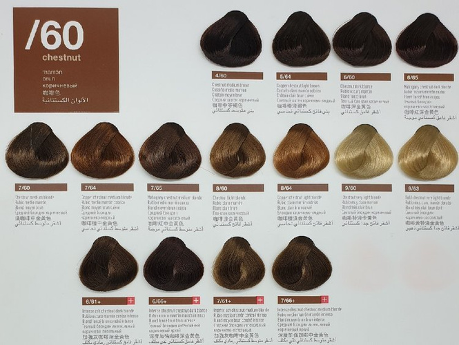 Lakme Collage Farba Do Włosów Trwale Kryjąca 8/60 Chestnut Light Blonde 60ml