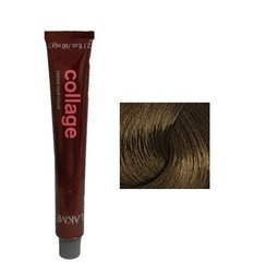 Lakme Collage Farba Do Włosów Trwale Kryjąca 8/13 Gold Ash Light Blonde 60ml