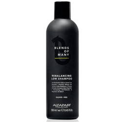 Alfaparf Blends Of Many równoważący szampon do włosów dla mężczyzn 250ml