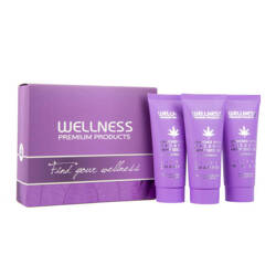 Wellness Premium Products Silver Zestaw neutralizujący żółte odcienie do włosów blond (2x szampon 50ml maska 50ml)